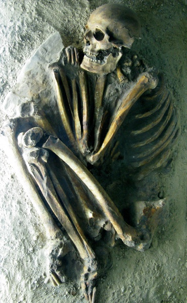 konnte nicht widerstehen Krise