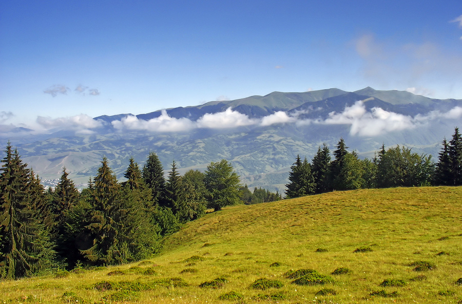 Es te Berg rd Polonyny