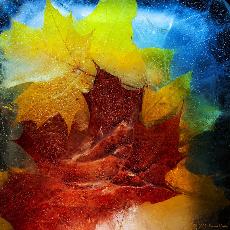 Die Geister der Tiefe