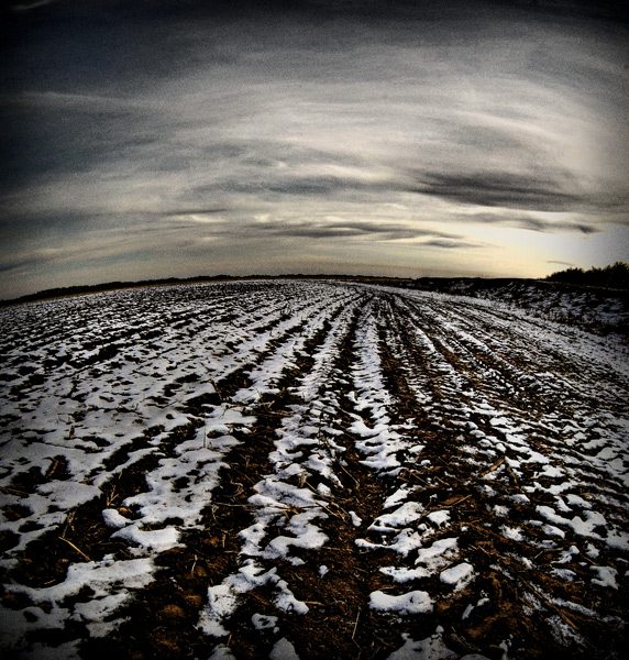 pervosnezhnaya Acker