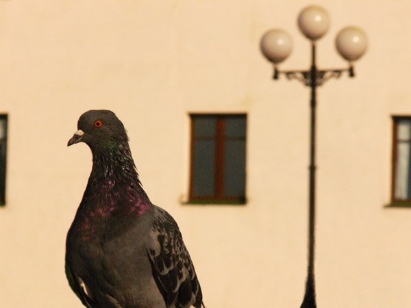 um 7 Uhr auf unserer Website.