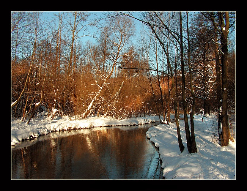 Ein Tag im Leben des Winter ...