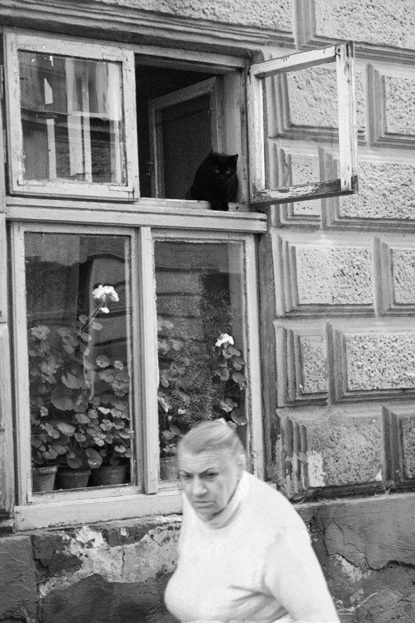 Frau und Katze im Fenster