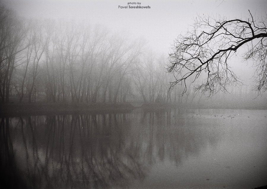 [Der erste Film. Alles, was ich sah}