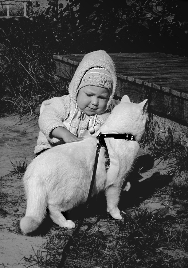 Ich liebe mein Pferd ...