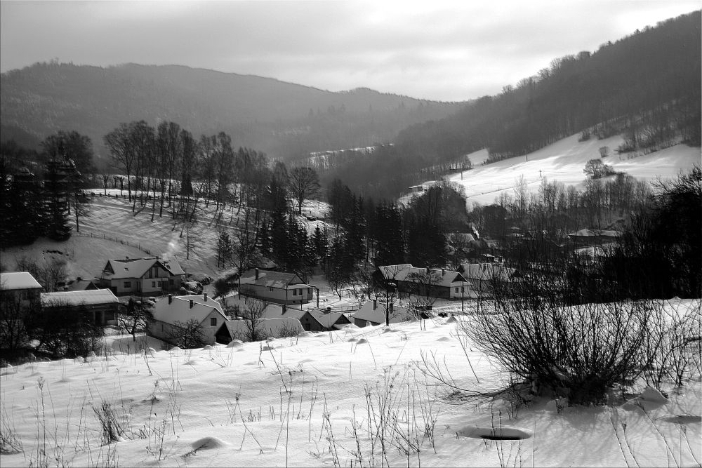 Niederösterreich Comarnic
