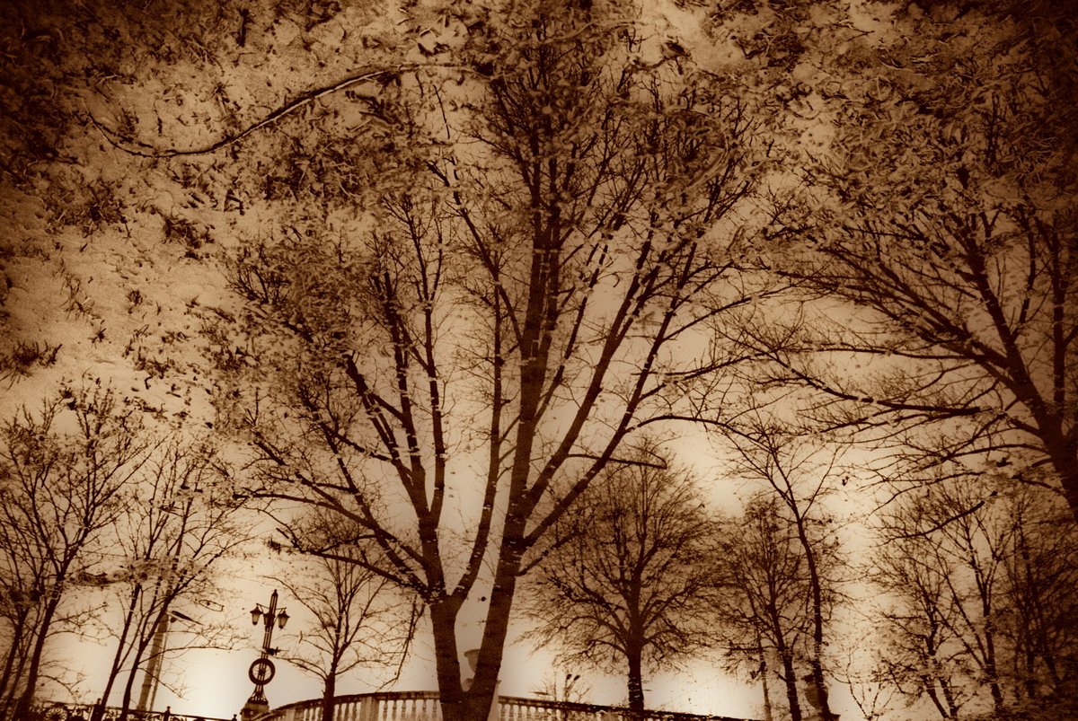 Baum traurig reflektiert