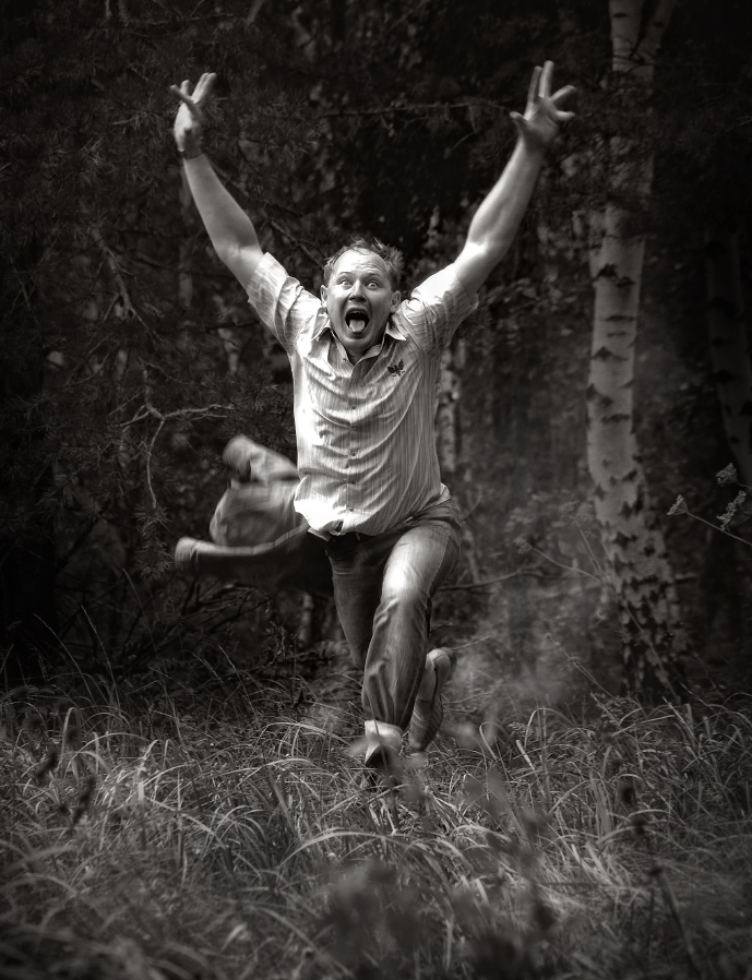 Raus aus dem Wald ....