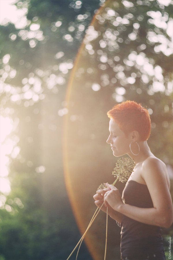 Das Ziehen des Lichts