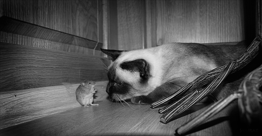 Was passiert als nächstes?