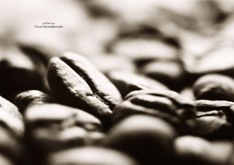 [Morning. Widerstehen Sie nicht}