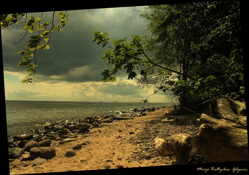 Morze Baltyckie. Gdynia.
