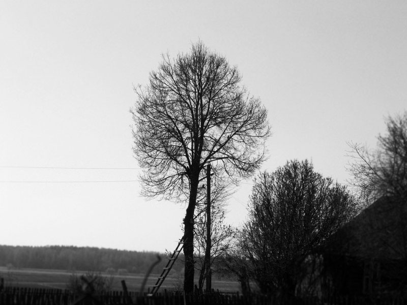 Leiter, um einen Traum