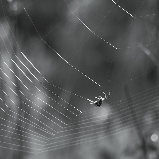 Wer nicht arbeitet soll auch nicht ...