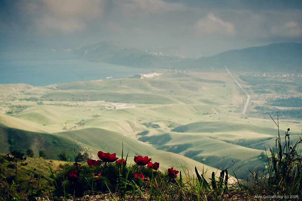 Landschaft mit zwei Pionen