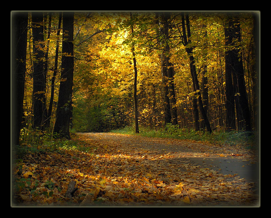 Herbst, wo wir den Walzer tanzte Boston ...