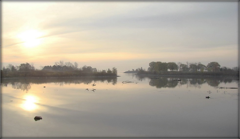 rankavaya byazvetran