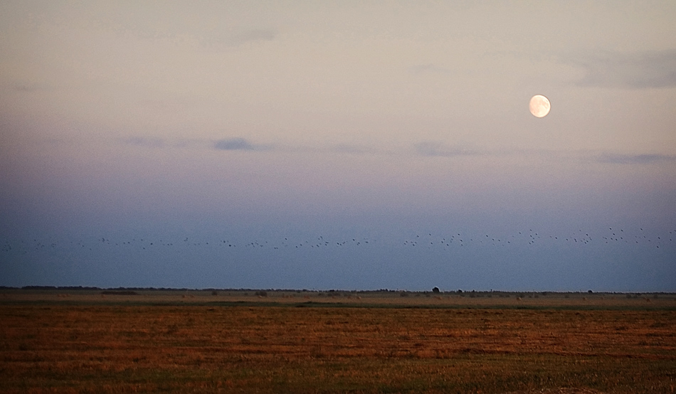 [Ticket to the south]