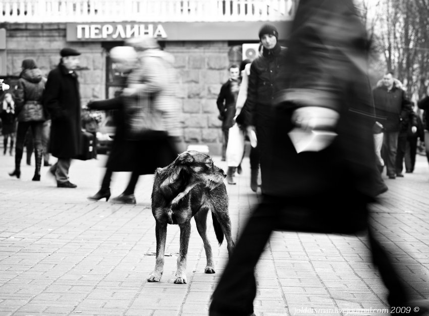 Einsamkeit in der Großstadt