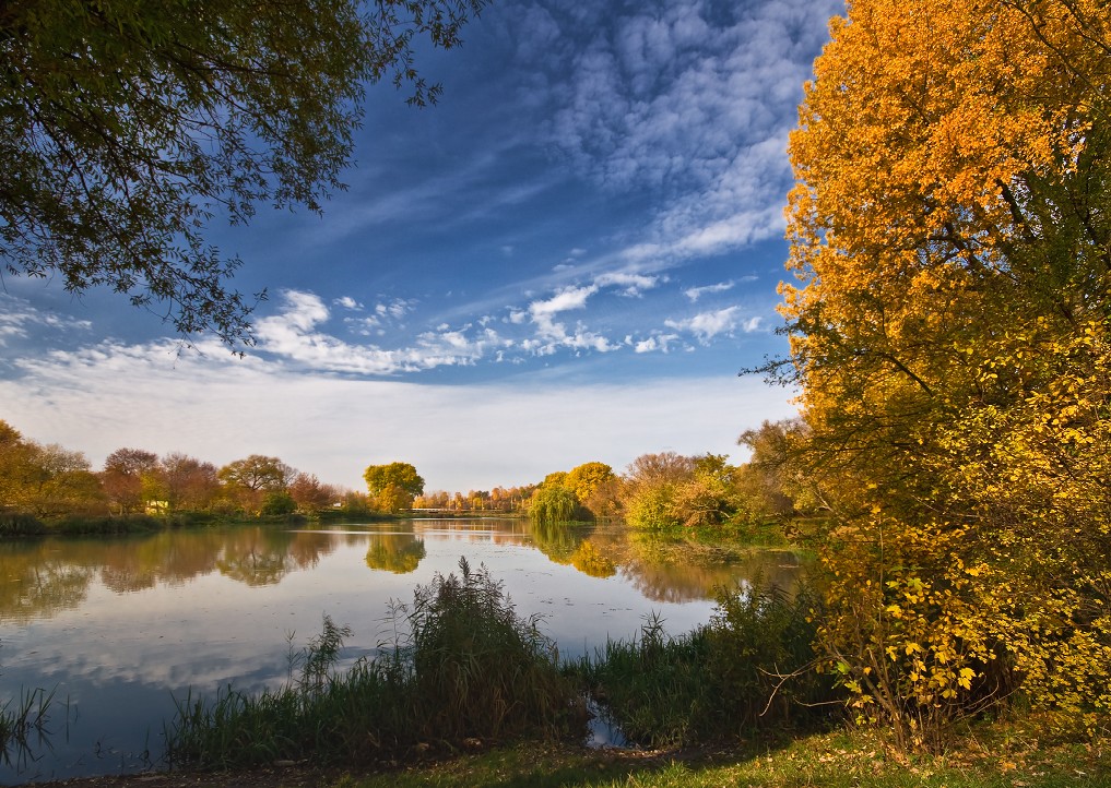 Autumn Gold und Blau im Sommer ...