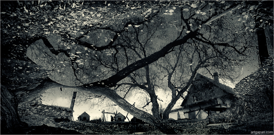 [ Unreal Reflection ]