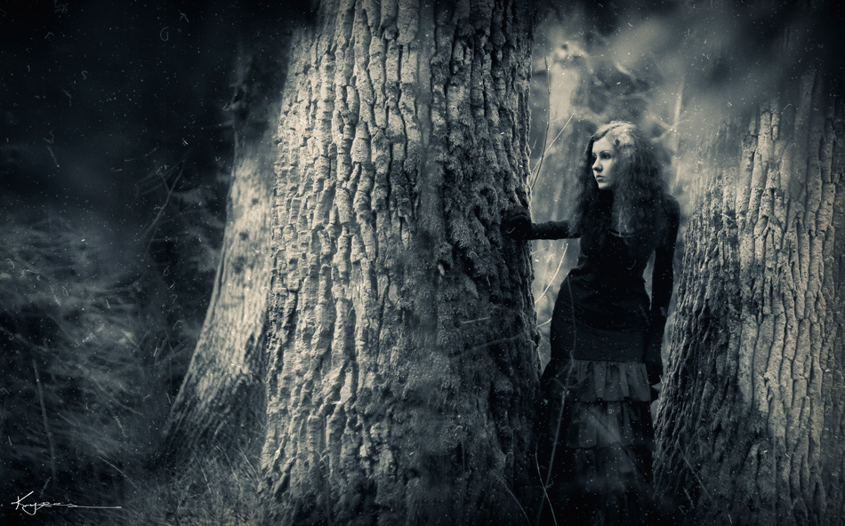 auf der Suche nach Nikolodina