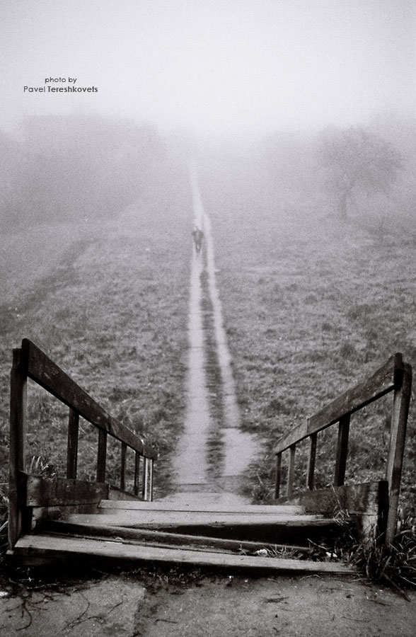 [Nebel. Der Weg zu den Wolken}