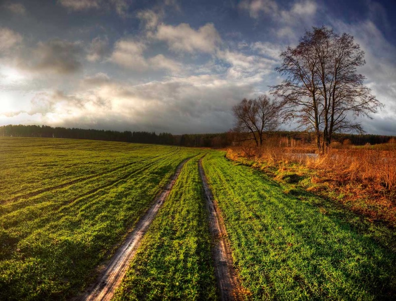 | Der Weg zu den Wolken |