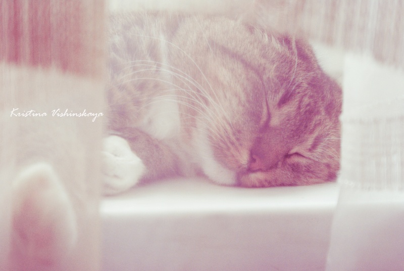 Nachmittags schlafen