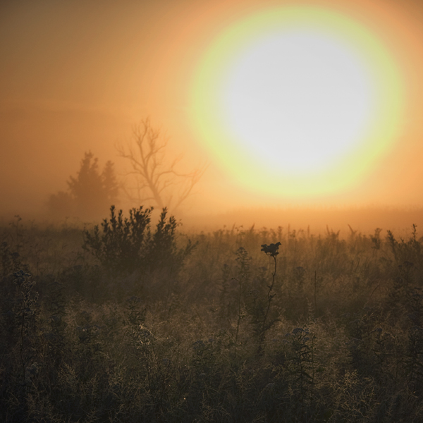 Während eine große Sonnenterrasse ......