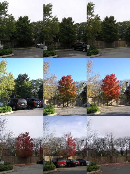 Und so von Jahr zu Jahr