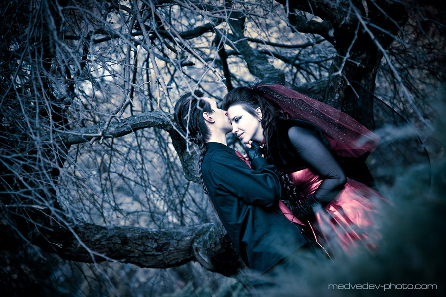 vanished in the savage garden