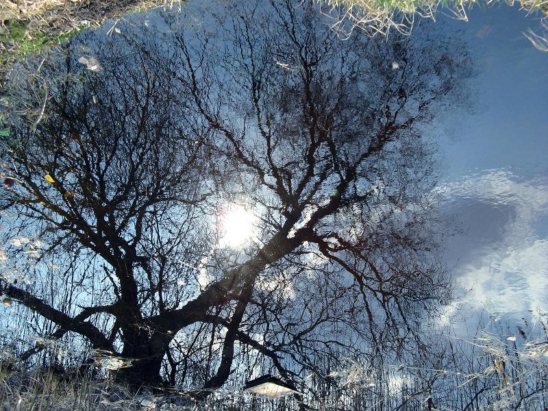 Himmel fiel i patanula ..