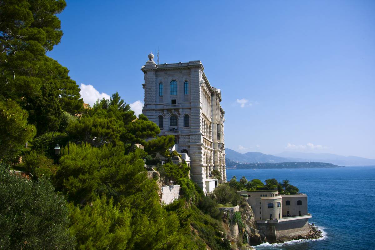 Museum Cousteau