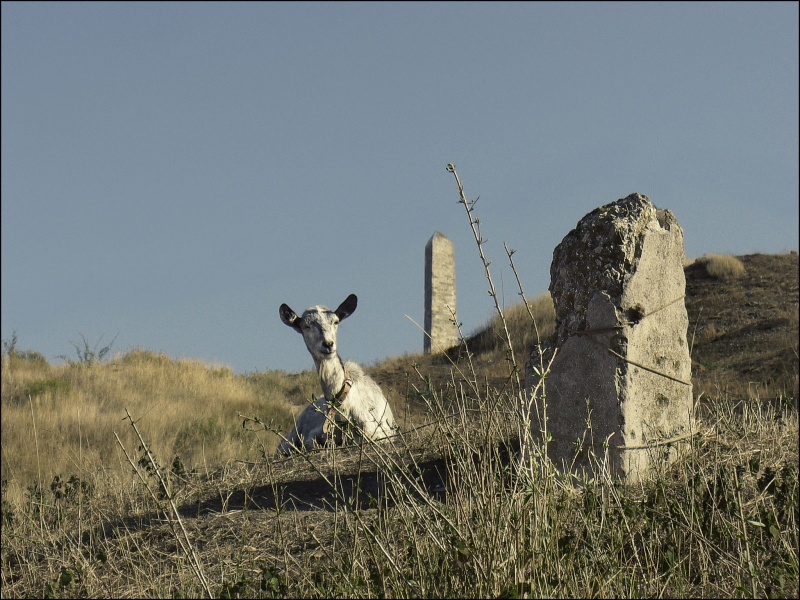 das Leben der Freizeit ...