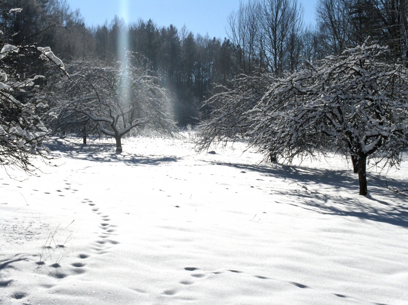 Nur eine der Wintertage ...