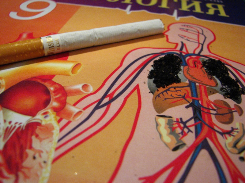 Grundlagen der Anatomie