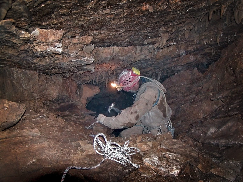 auf Anhängevorrichtung