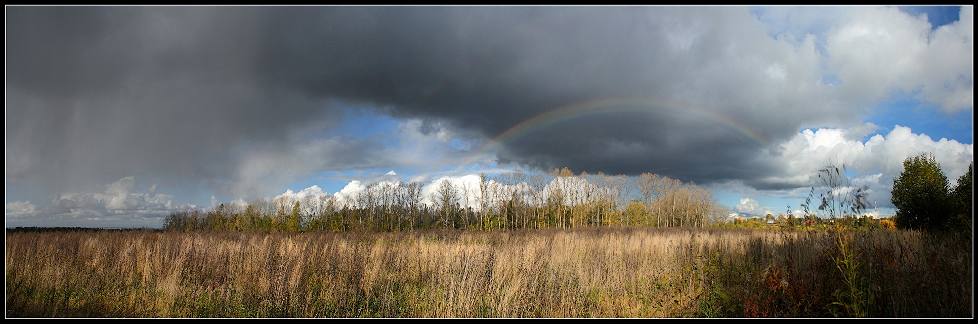 METAMORPHOSIS Herbstwetter