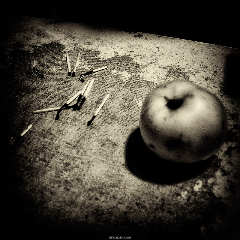 [ french still life ]