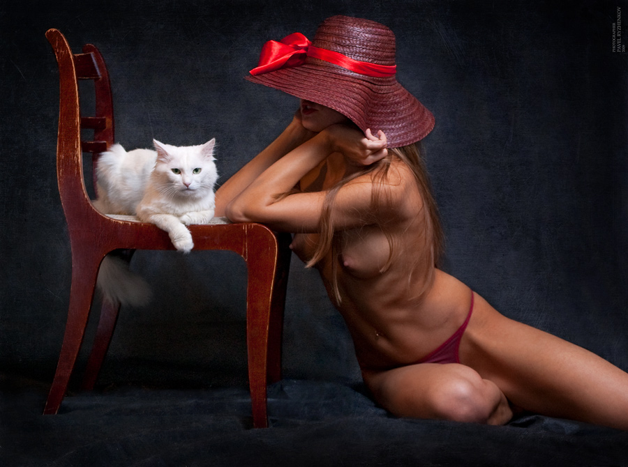 # 135. Portrait einer Katze.