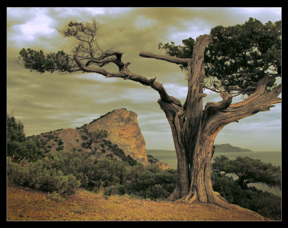 Das Lied handelt von der Gegenwart indischen