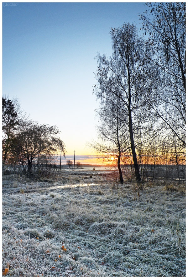 Morning Frost