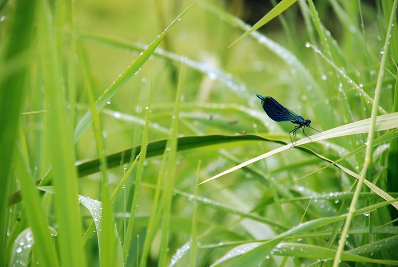 beautiful moments of the nature