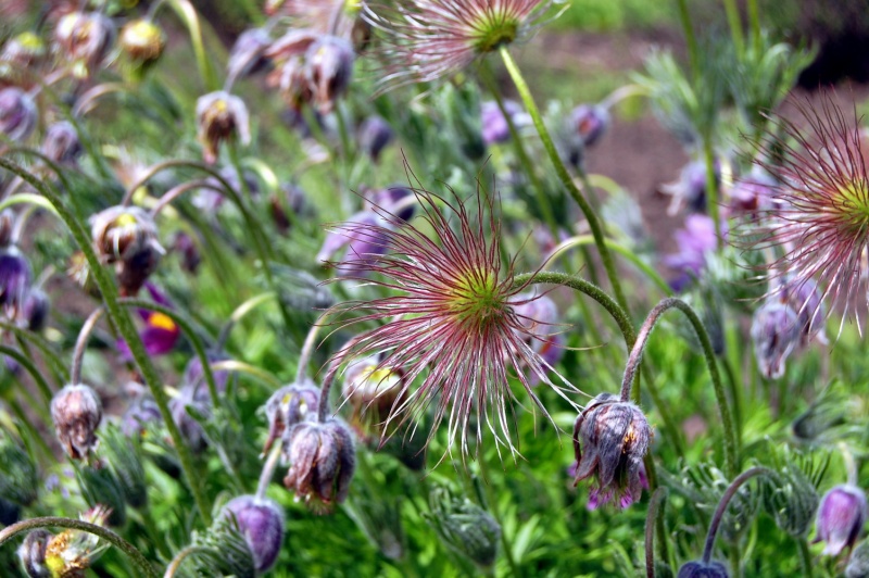 Farben sind die Zukunft