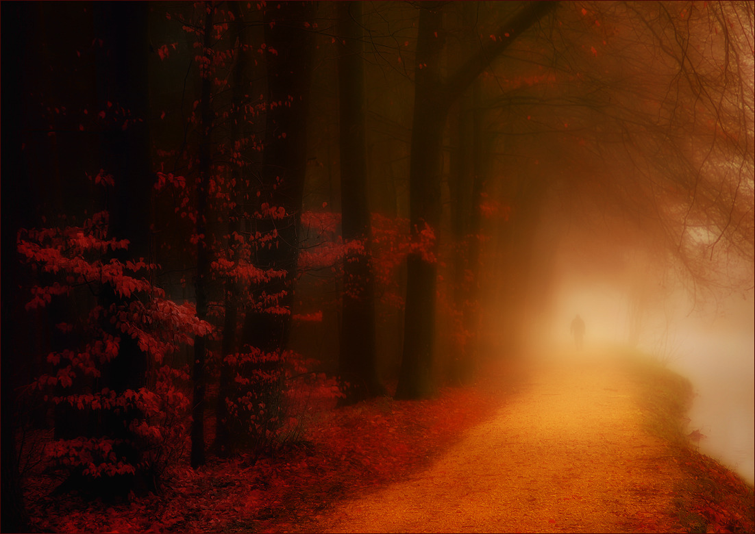 Um helles Licht, meine Freude, das helle Licht ...