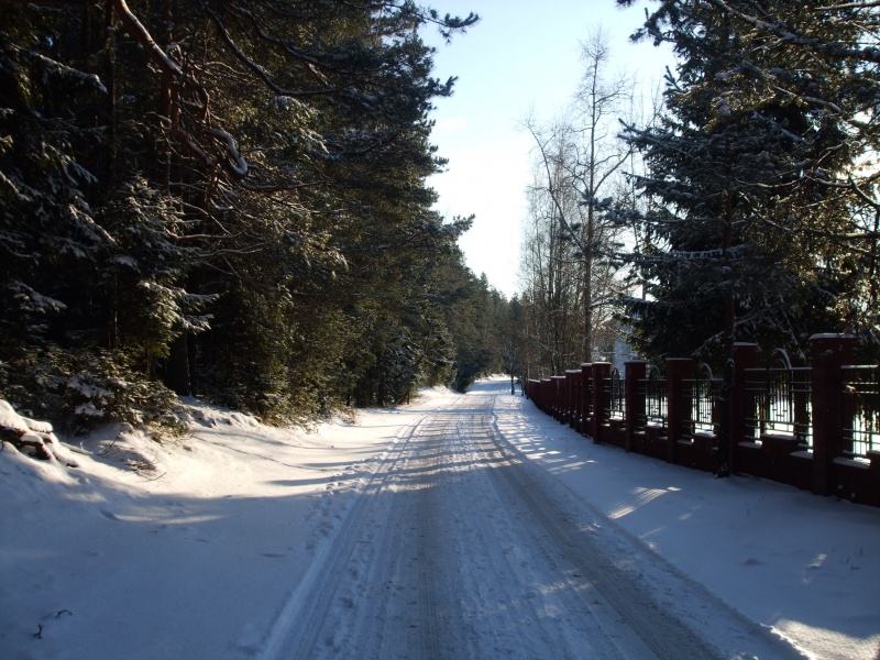 Natürliche Schönheit