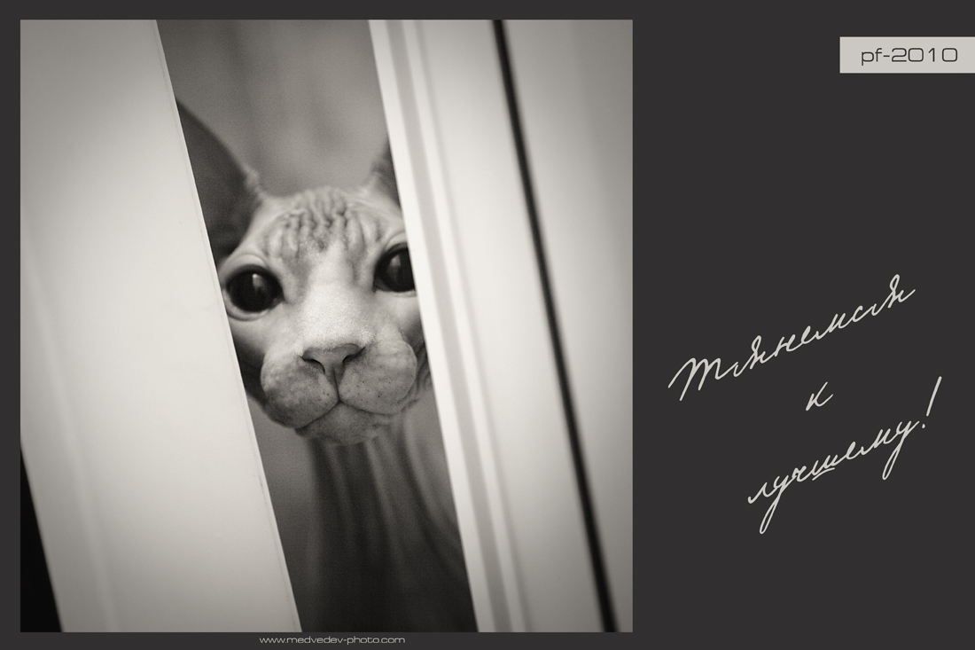 PF-2010: die bessere gezogen!