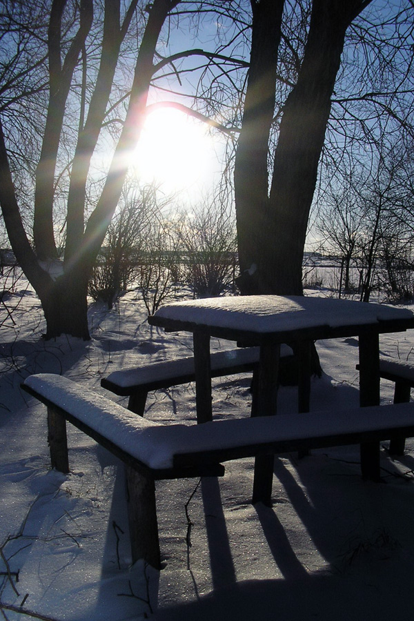 Even In The Quietest Moments...