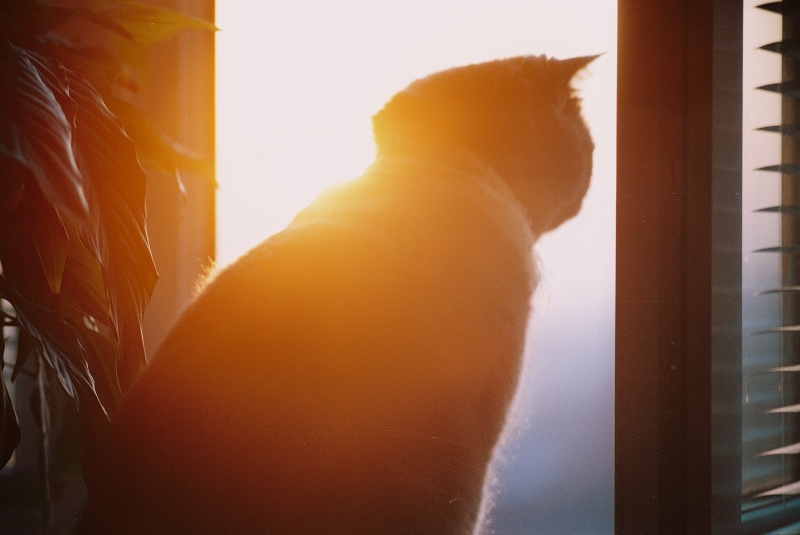 Leben in einer Megacity